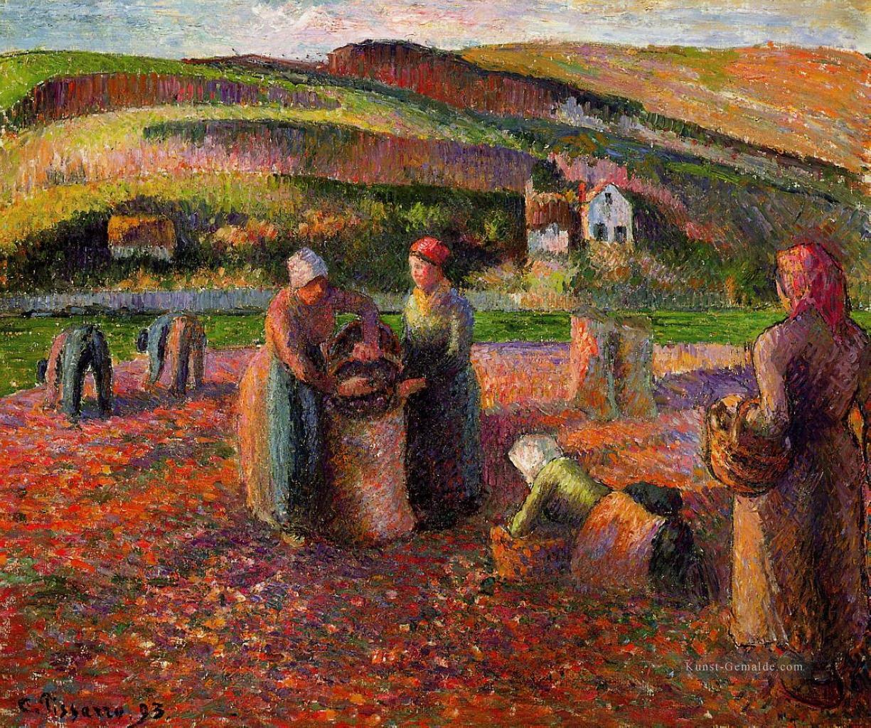 Kartoffelernte 1893 Camille Pissarro Ölgemälde